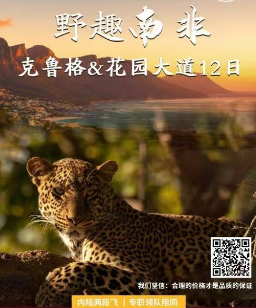 25090413431953933.png